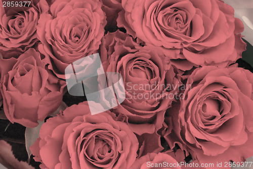 Image of Bunch of roses