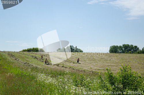 Image of men half undressed manual rake hay in rural field 