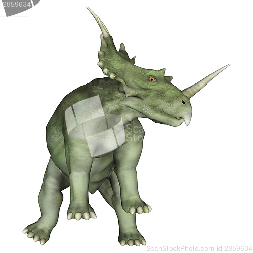 Image of Dinosaur Styracosaurus