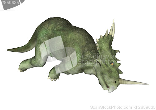 Image of Dinosaur Styracosaurus