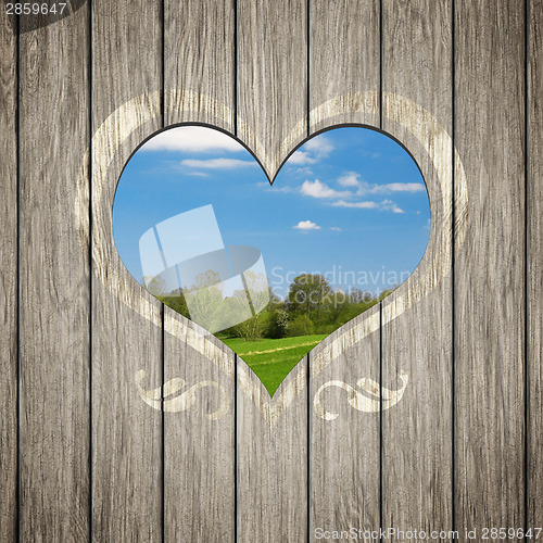 Image of wooden heart nature