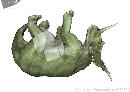 Image of Dinosaur Styracosaurus