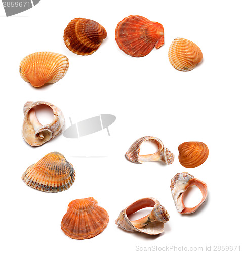 Image of Letter G composed of seashells