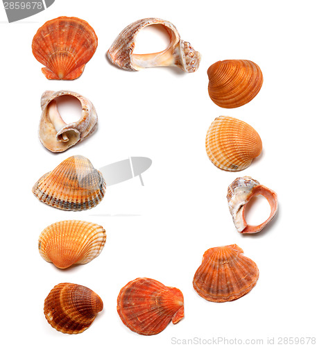 Image of Letter D composed of seashells