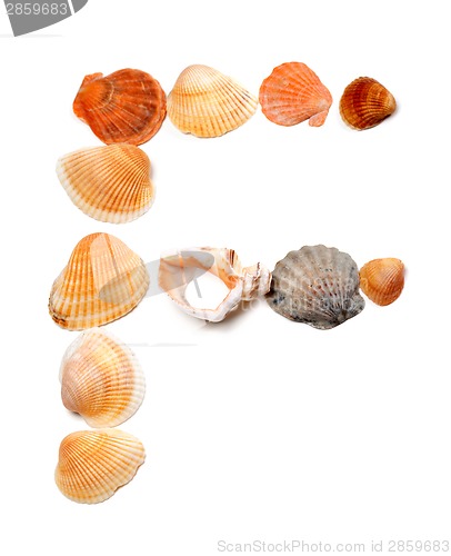 Image of Letter F composed of seashells