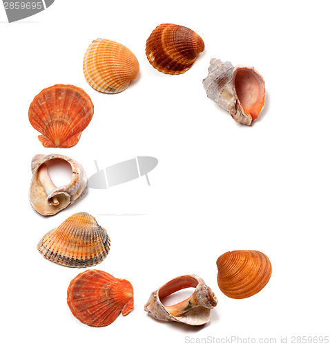 Image of Letter C composed of seashells