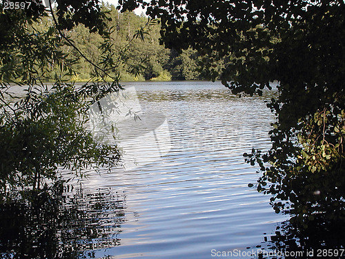 Image of A view to a lake