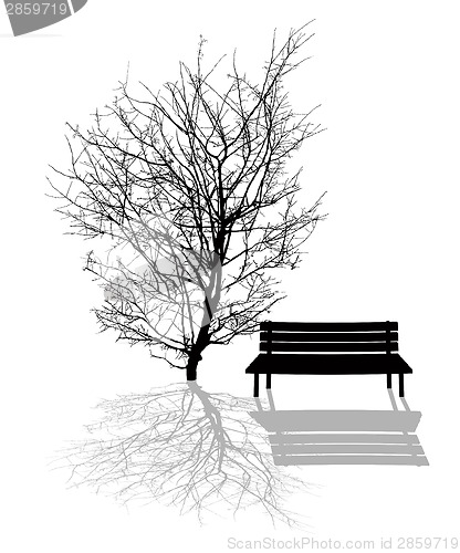 Image of Park scene
