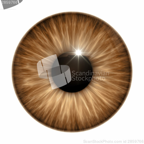 Image of brown eye texture