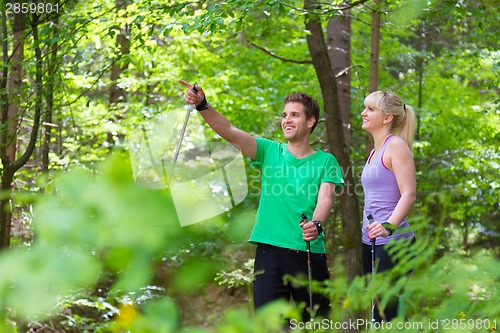 Image of Lifestyle in nature.