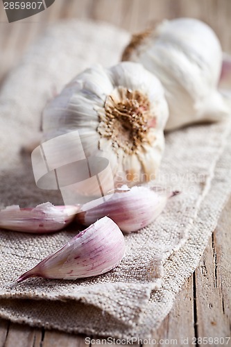 Image of fresh garlic 