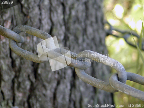 Image of Chains