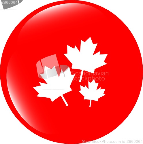 Image of Maple leaf icon on web button