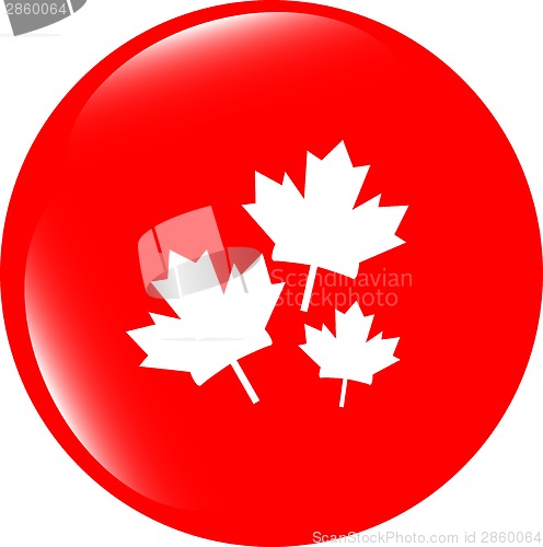 Image of Maple leaf icon on web button