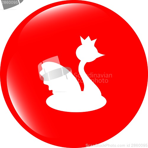 Image of swan