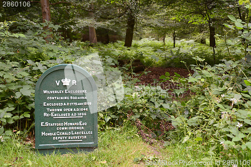 Image of Wilverley Enclosure in the New Forest, Hampshire, UK