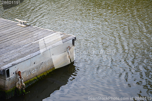 Image of Weathered wooden jetty in calm water