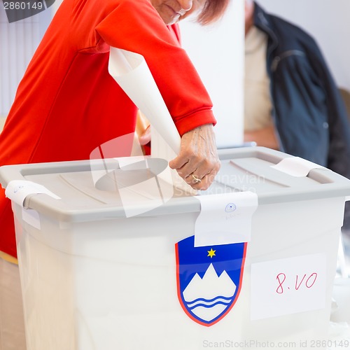 Image of Citizens voting on democratic election.