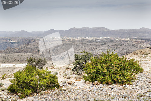 Image of Jebel Akhdar