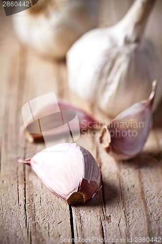 Image of fresh garlic