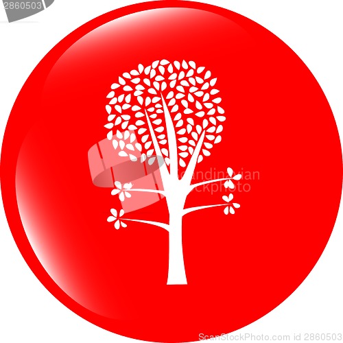 Image of tree on icon button isolated on white