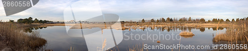 Image of Hammonasset Beach Marsh Panorama