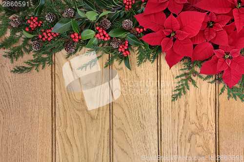 Image of Poinsettia Flowers on Oak