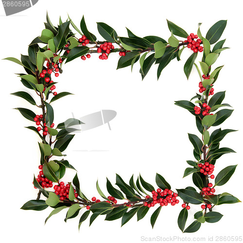 Image of Holly Berry Border