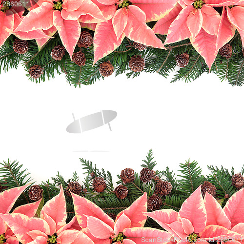 Image of Poinsettia Flower Frame