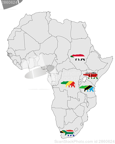 Image of Hippo Africa