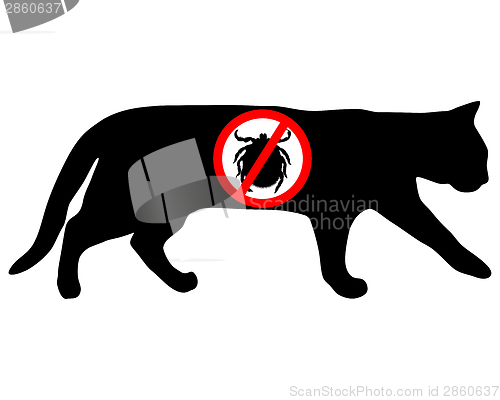 Image of Cat tick prohibited