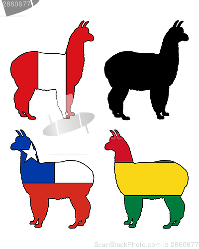 Image of Alpaca flags