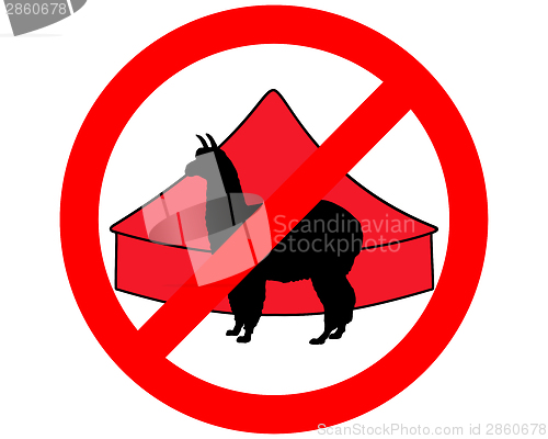 Image of Alpaca in circus prohibited