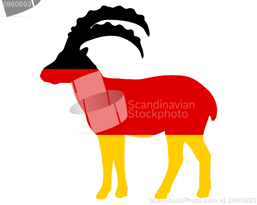 Image of Flag of Germany with capricorn