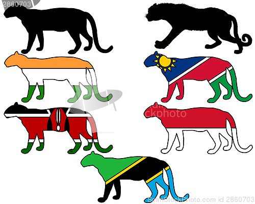 Image of Leopards flags