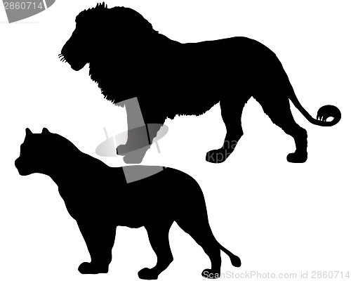 Image of Lions silhouette