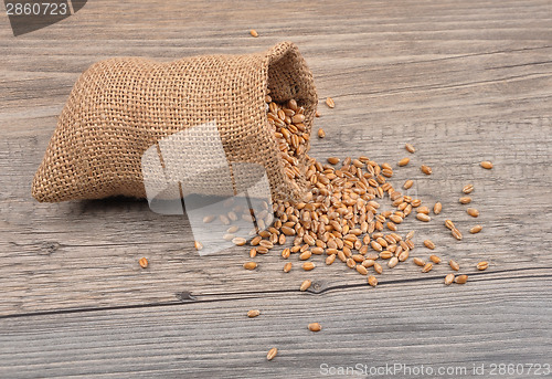 Image of Cereal bag on wood