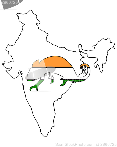 Image of India Chameleon
