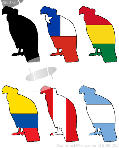 Image of Andean Condor flags