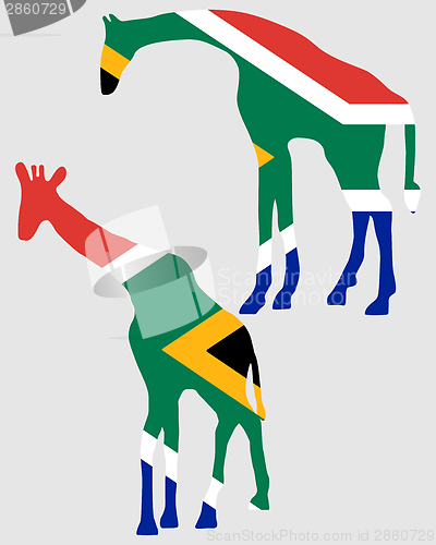Image of Giraffes with flag of south Africa