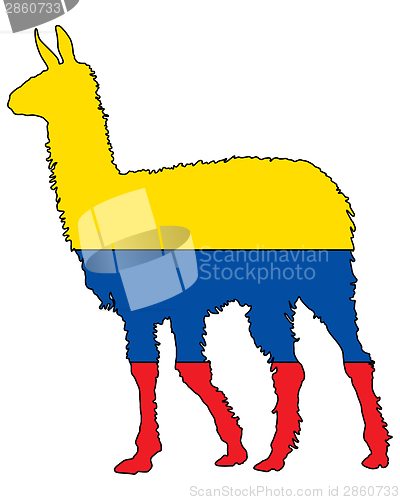 Image of Lama Ecuador 