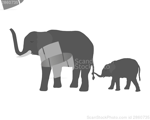 Image of Cow elephant with young elephant