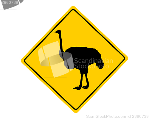 Image of Ostrich warning sign