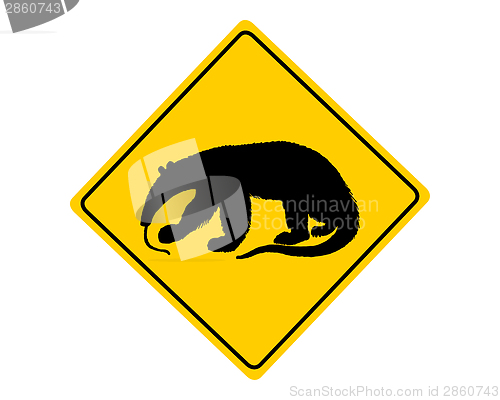 Image of Anteater warning sign