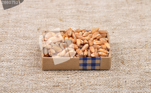Image of Spelt on linen