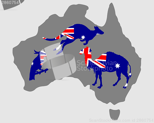 Image of Australian animals