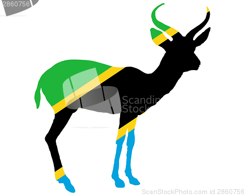 Image of Tanzania antelope