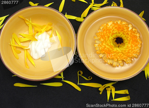 Image of Water and creme of marigold surrounded by petals