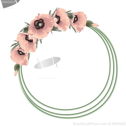 Image of Pink poppies floral round frame, vector