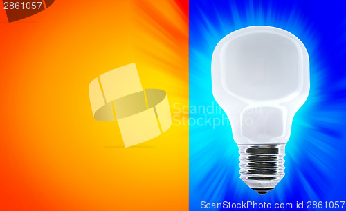 Image of White bulb